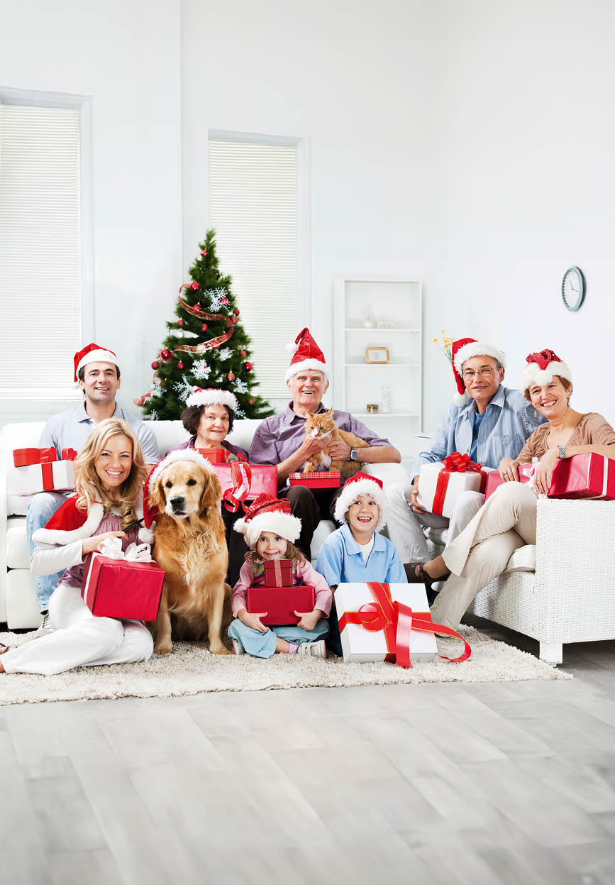 Beautiful multi-generation family sitting in the living room with their pets and holding Christmas presents. [url=http://www.istockphoto.com/search/lightbox/9786778][img]http://dl.dropbox.com/u/40117171/family.jpg[/img][/url]  [url=http://www.istockphoto.com/search/lightbox/9786797][img]http://dl.dropbox.com/u/40117171/people-animals.jpg[/img][/url]